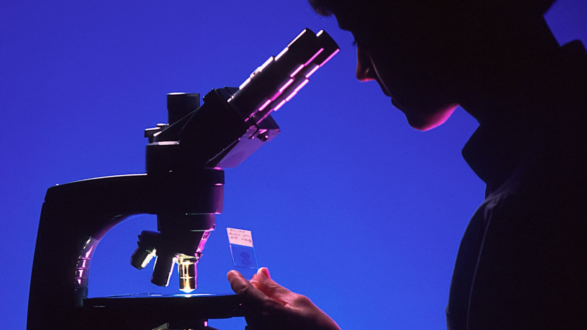 Biostate AI запускает K-Dense Beta: агент ИИ ускоряет биологические исследования до дней